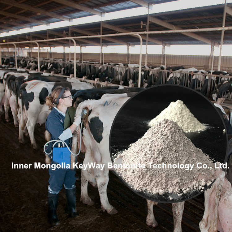 montmorillonite for animal health care