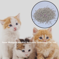bentonite cat litter